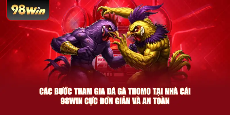 Các bước tham gia đá gà Thomo tại nhà cái 98win cực đơn giản và an toàn